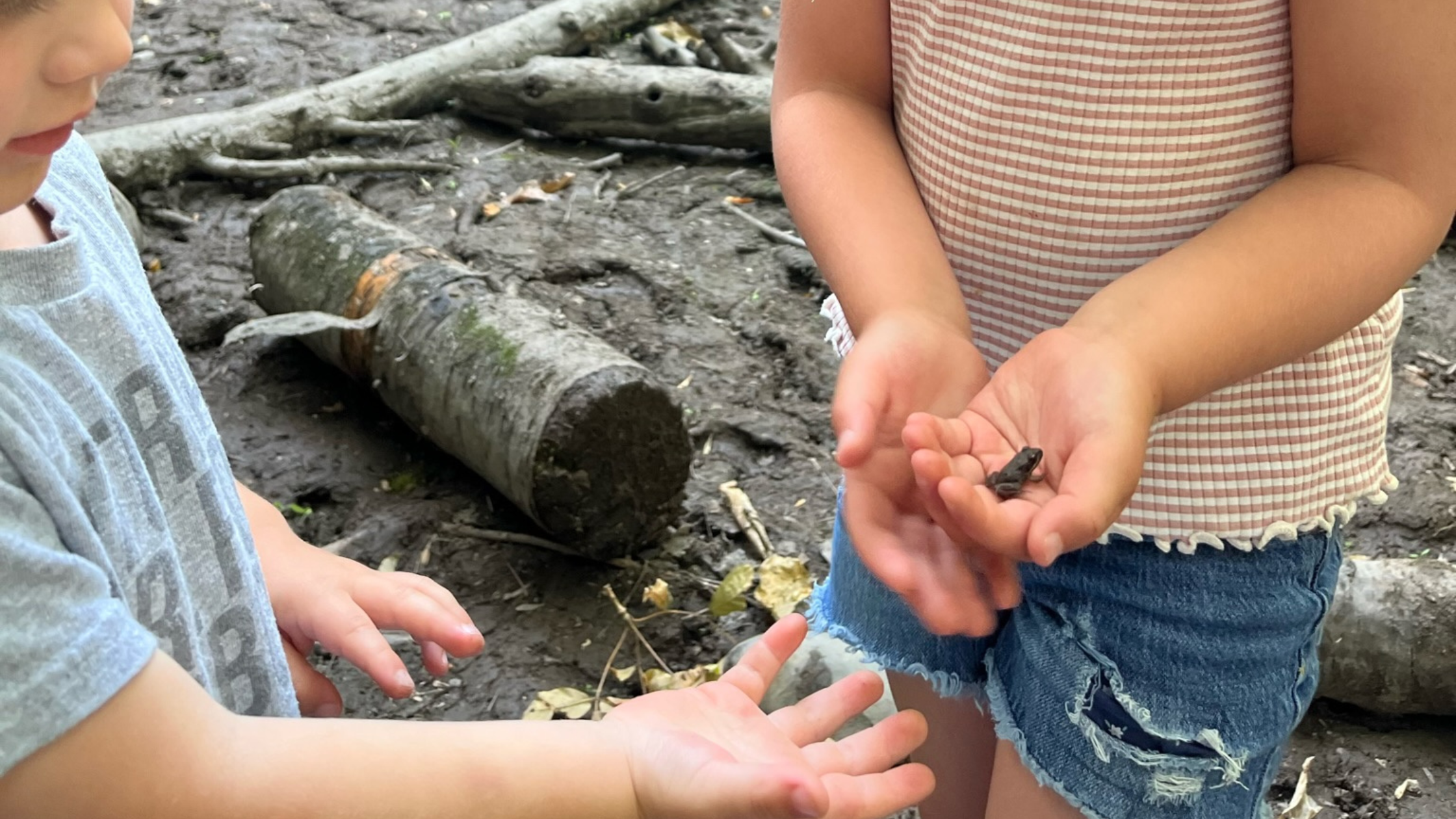 Connecting Children with Nature